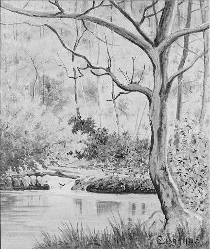 Woodland Brook