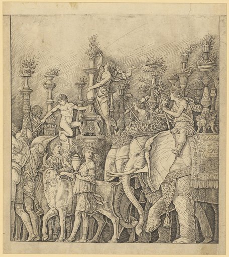 The Triumph of Caesar: The Elephants