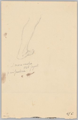 Left Leg