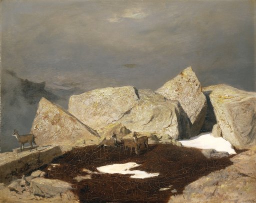 High Mountain Landscape with Ibex