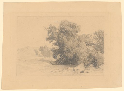Forest Corner with View of a Mountain Range