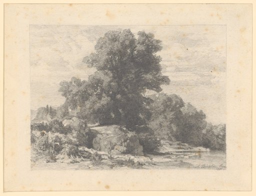 Group of Trees on the Riverbank
