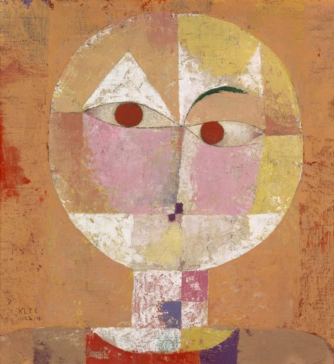 Senecio (Old Man)