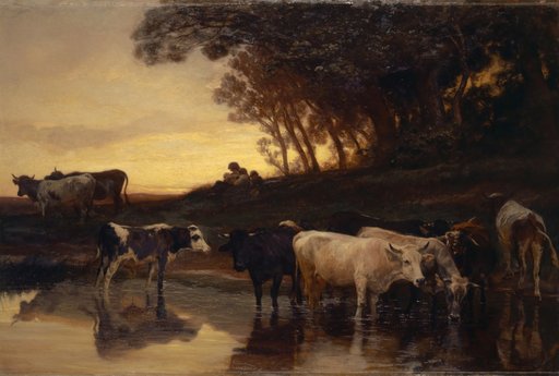 Cows at the Trough