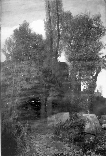 The Grotto
