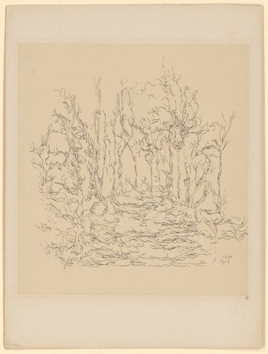 Abandoned Garden