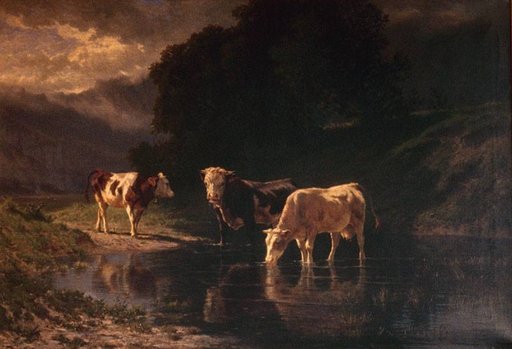 Cattle at the Trough