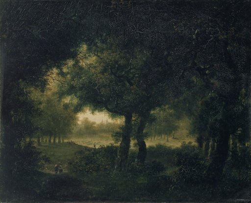 Forest Landscape