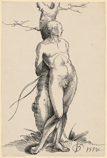 Naked Man Tied to a Tree