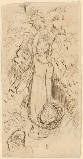 Girl Picking Fruit