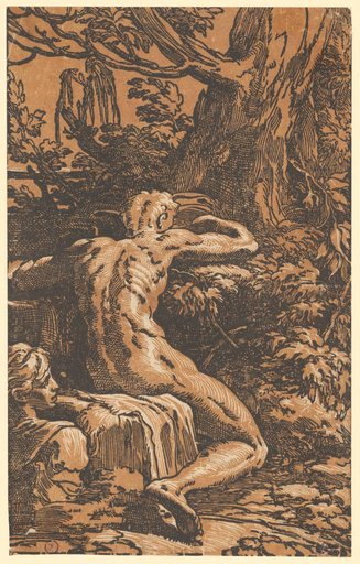 Narcissus at the Spring