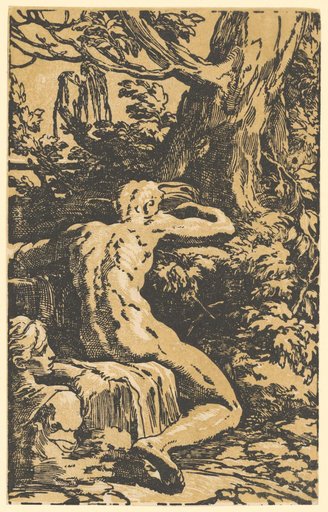 Narcissus at the Spring