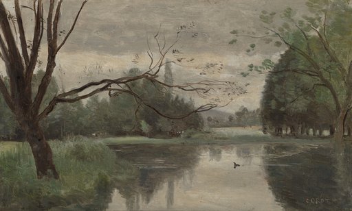 The Duck Pond
