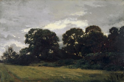 Landscape with Tree Groups