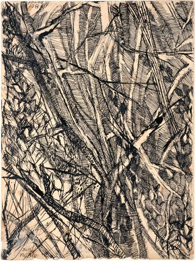 Wood. Forest
