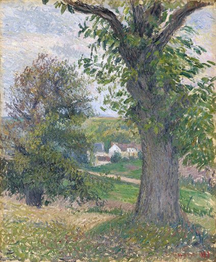 Chestnut Trees at Osny