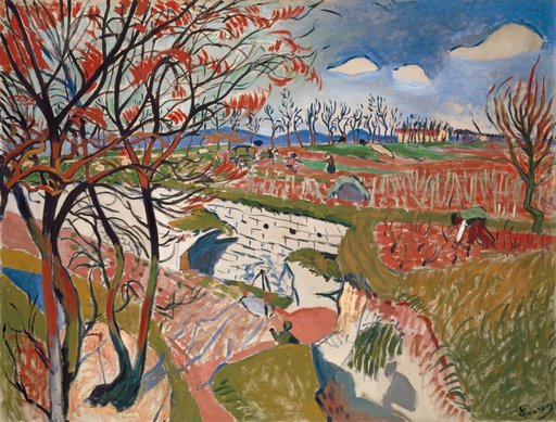 The Vineyards in Spring