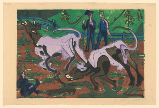 Cows in Spring