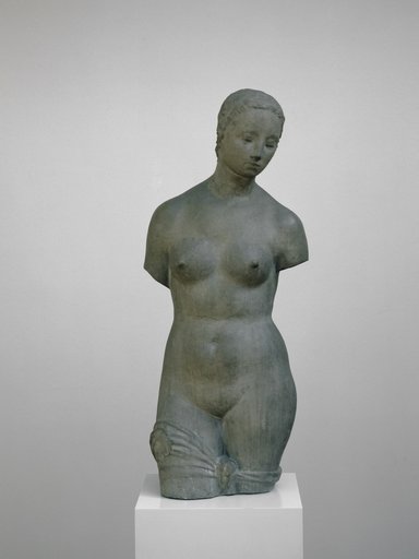 Female Torso