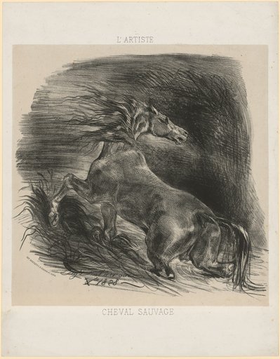 Wild Horse or Frightened Horse Emerging from the Water