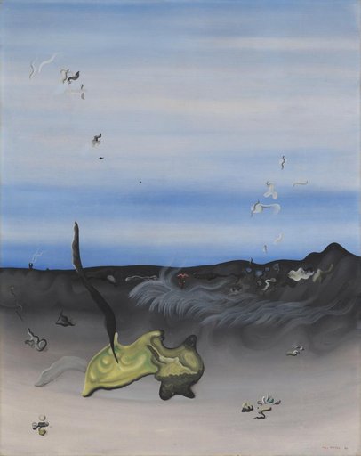 The Similar Splendor (El fulgor semejante)