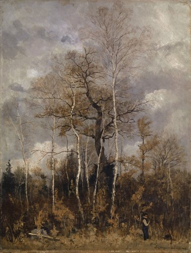 Oaks and Birches in Early Spring