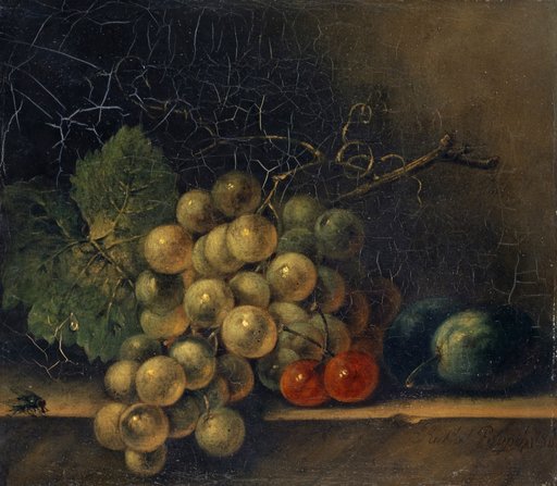 Still Life with Grape, Stone Fruit and Fly