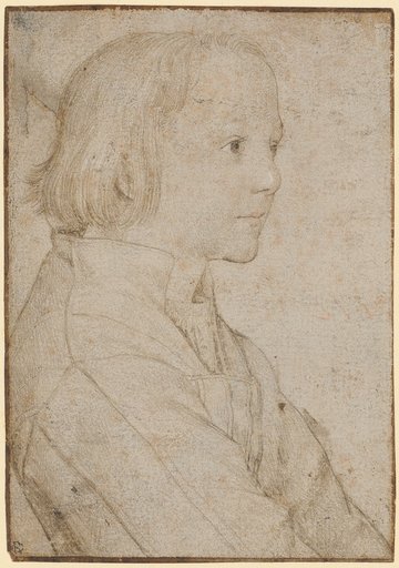 Portrait of a Boy with Brown Hair