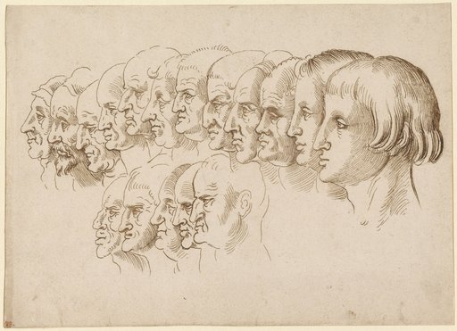 Study Sheet with 17 Profile Heads