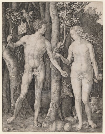 Adam and Eve