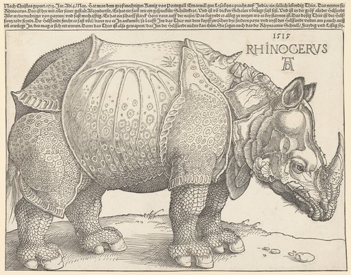 Rhinocerus (The Rhinoceros)