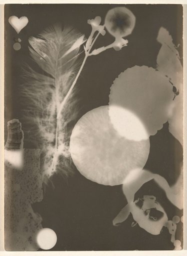 Photogram I (Photogram with a White Heart)