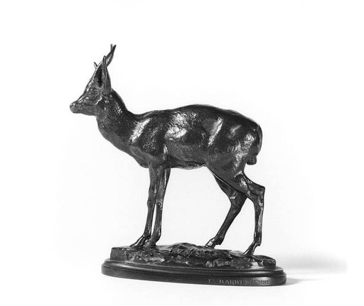 Kevel Antelope