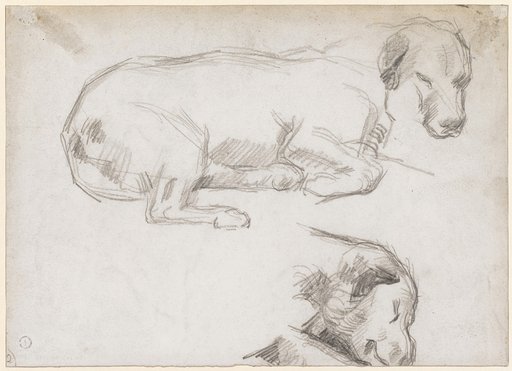 Sleeping Dog