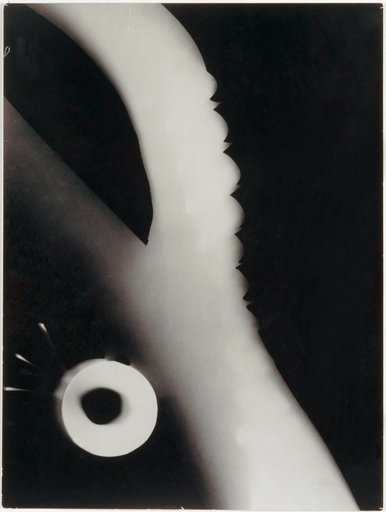 Photogram No. 3