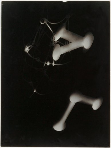 Photogram No. 7