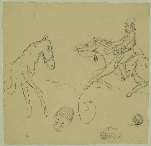 Equestrian Studies