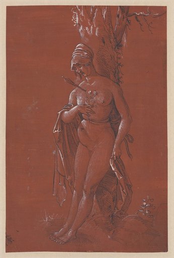 Naked Woman Tied to a Tree
