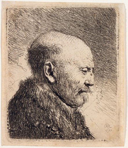 Portrait of a Bald Man