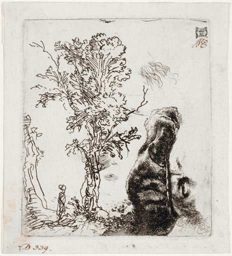 Study Sheet with a Tree and the Upper Part of a Male Portrait, Probably a Self-Portrait