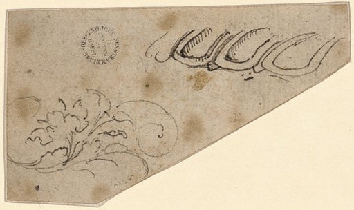 Leaf Vine and Bulges of a Vessel