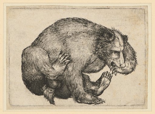 Sitting Bear
