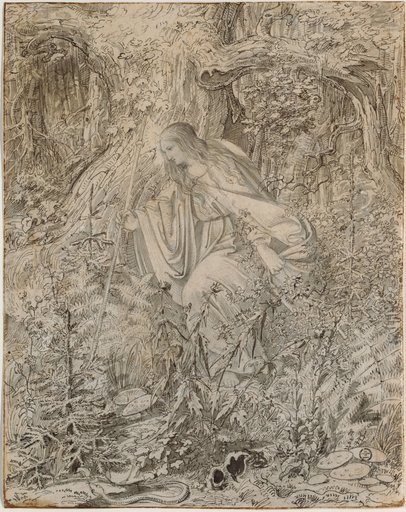 Genevieve in the Wilderness