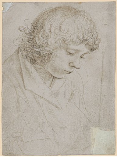 Bust of a Young Man Looking Down