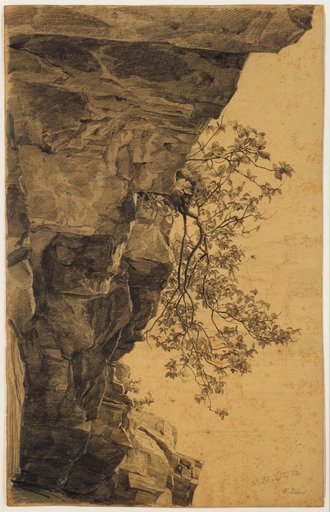 Overhanging Rock with Service Tree
