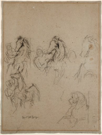 Several Studies of a Horse with Handler