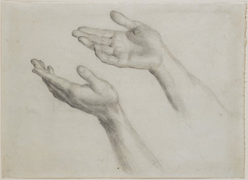 Hand Studies