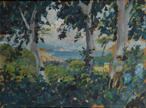 View Through a Woodland to a Southern Bay