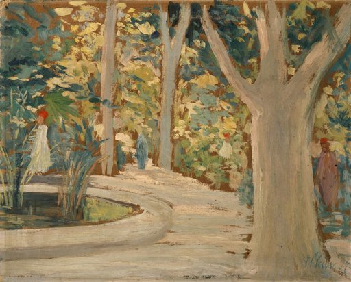 Muslims in the Park