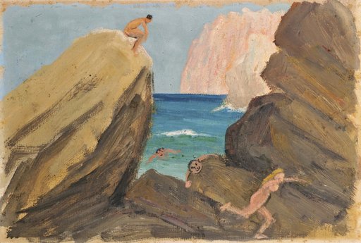 Pursuit on a Rocky Coast